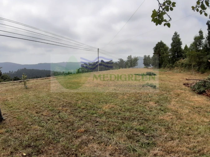 Terreno para Venda em Silva Escura e Dornelas Foto 2