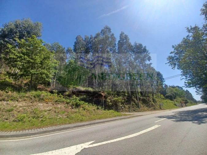 Terreno para Venda em Silva Escura e Dornelas Foto 1