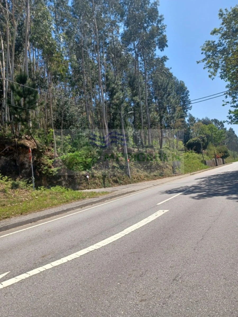 Terreno para Venda em Silva Escura e Dornelas Foto 2