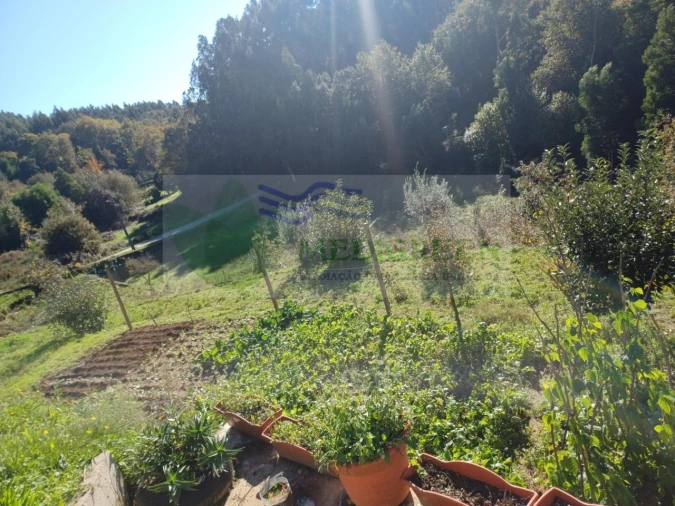 Terreno para Venda em Silva Escura e Dornelas Foto 4