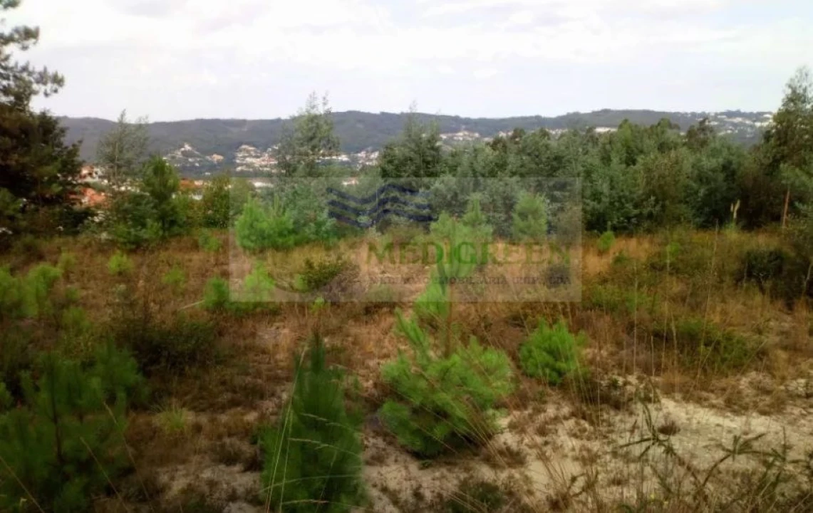 Terreno para Venda em Cedrim e Paradela Foto 4