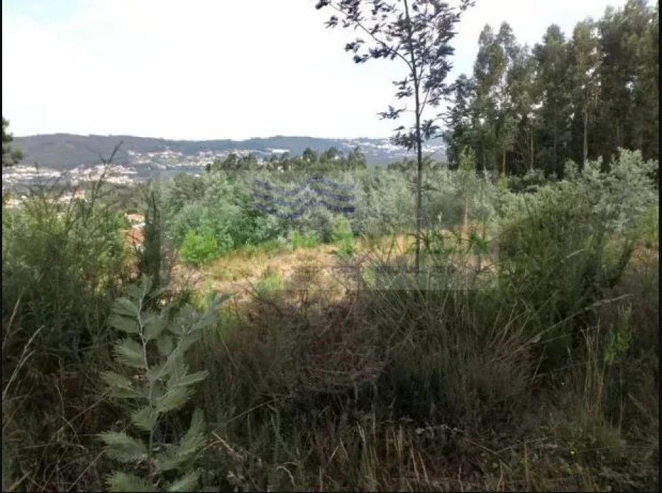 Terreno para Venda em Cedrim e Paradela Foto 6