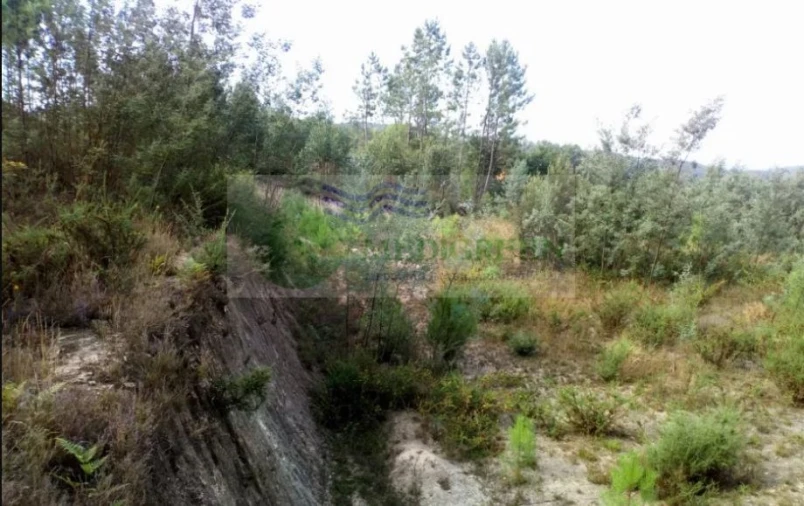 Terreno para Venda em Cedrim e Paradela Foto 3