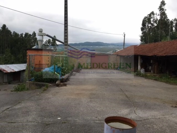 Armazém para Venda em Cedrim e Paradela Foto 3