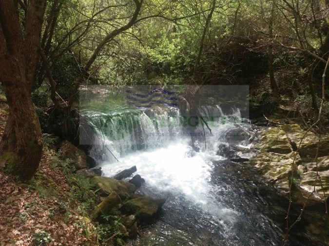 Terreno para Venda em Cedrim e Paradela Foto 2