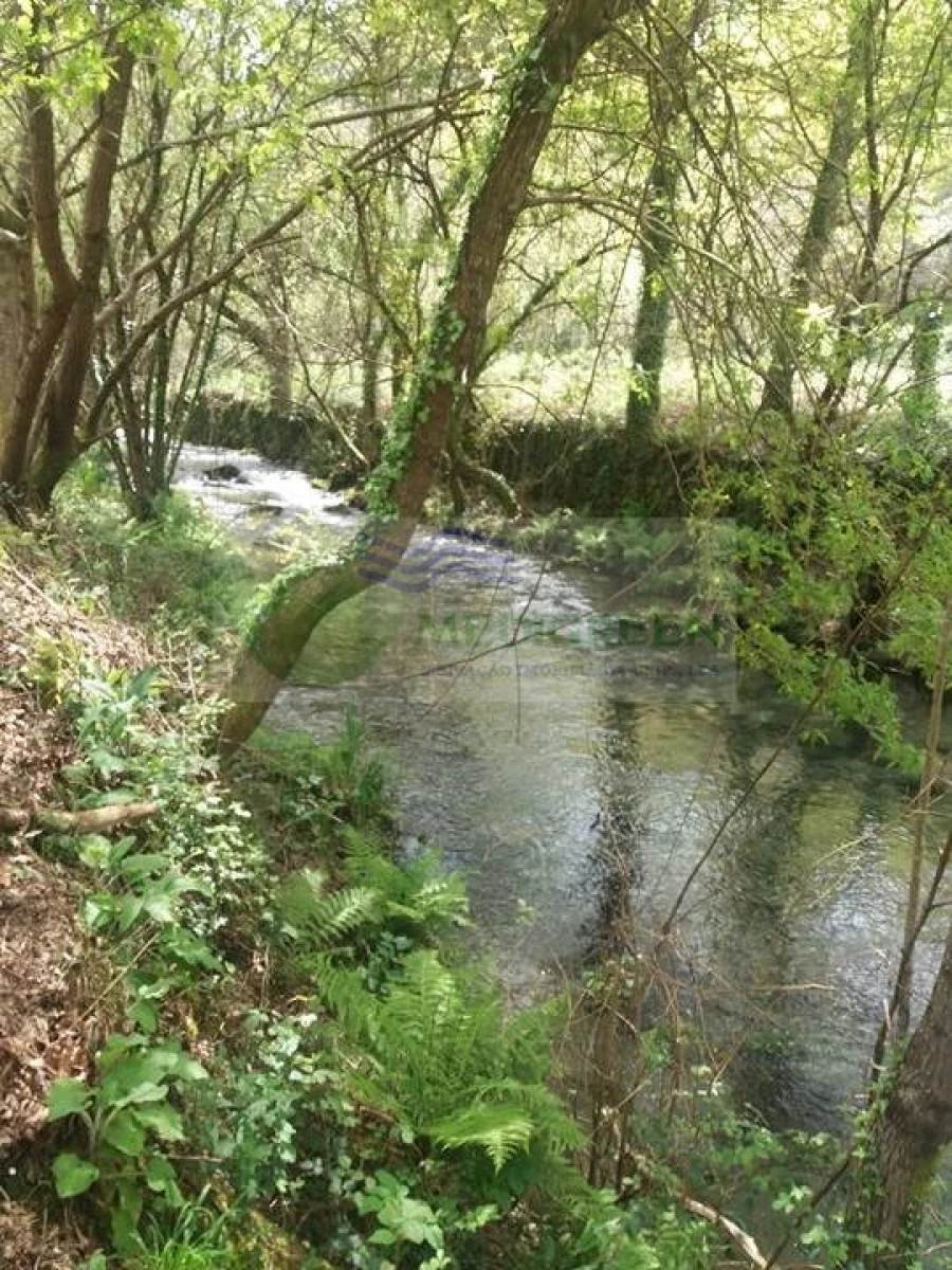 Terreno para Venda em Cedrim e Paradela Foto 4