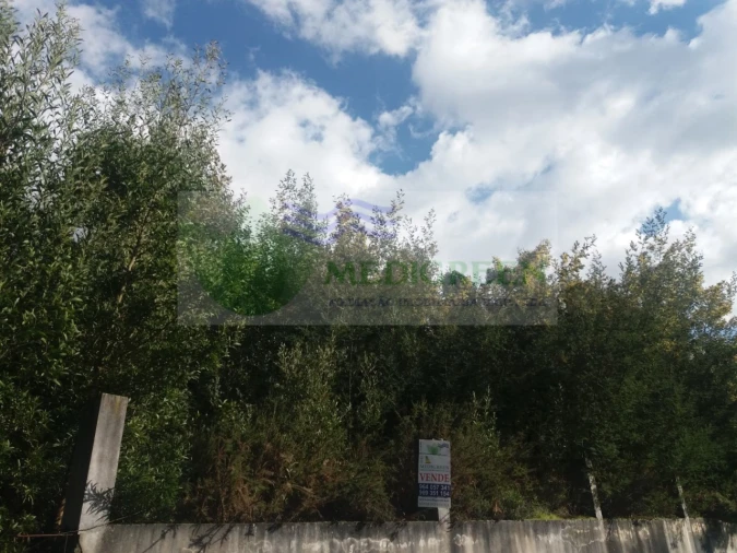 Terreno para Venda em Cedrim e Paradela Foto 4