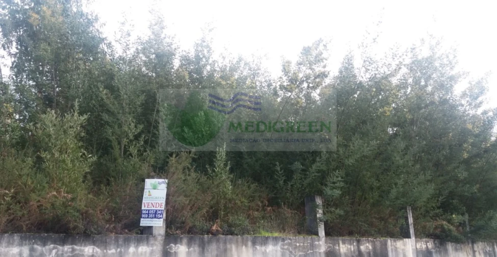 Terreno para Venda em Cedrim e Paradela Foto 5