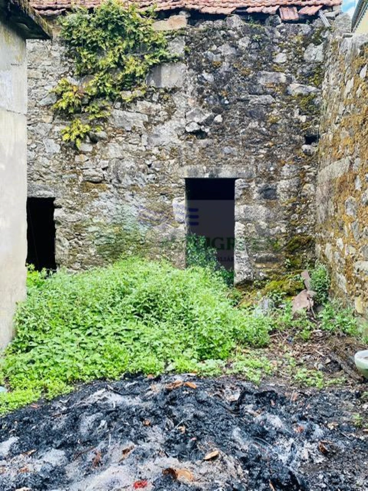 Moradia para Venda em Cedrim e Paradela Foto 24