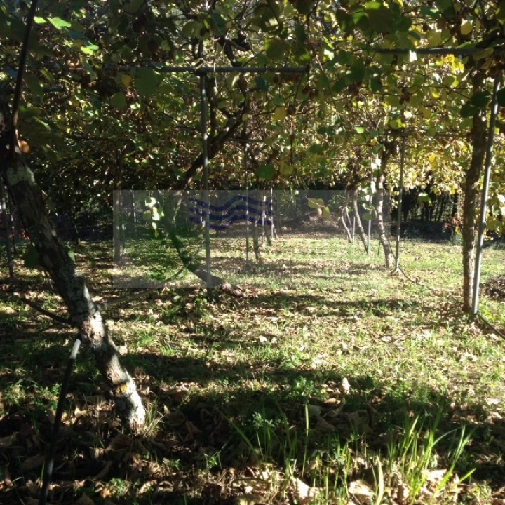 Terreno para Venda em Silva Escura e Dornelas Foto 4