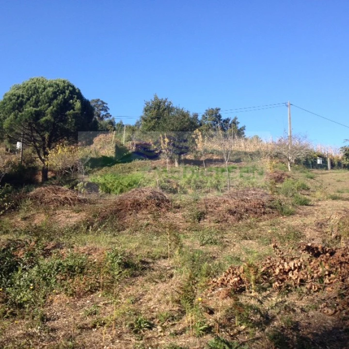 Terreno para Venda em Silva Escura e Dornelas Foto 13