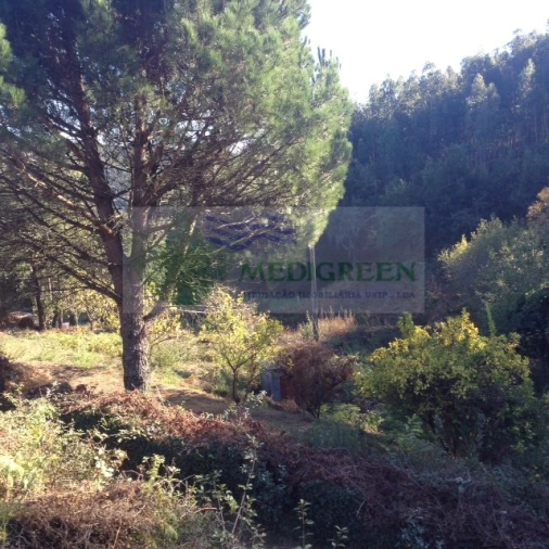 Terreno para Venda em Silva Escura e Dornelas Foto 2