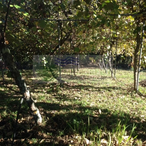 Terreno para Venda em Silva Escura e Dornelas Foto 4