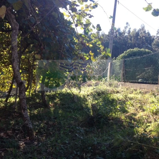 Terreno para Venda em Silva Escura e Dornelas Foto 6