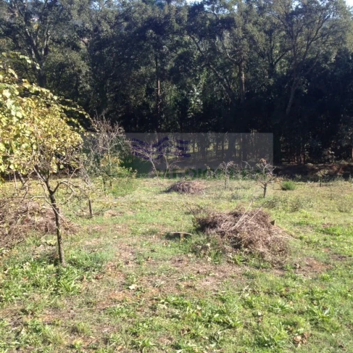 Terreno para Venda em Silva Escura e Dornelas Foto 7