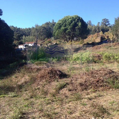 Terreno para Venda em Silva Escura e Dornelas Foto 11