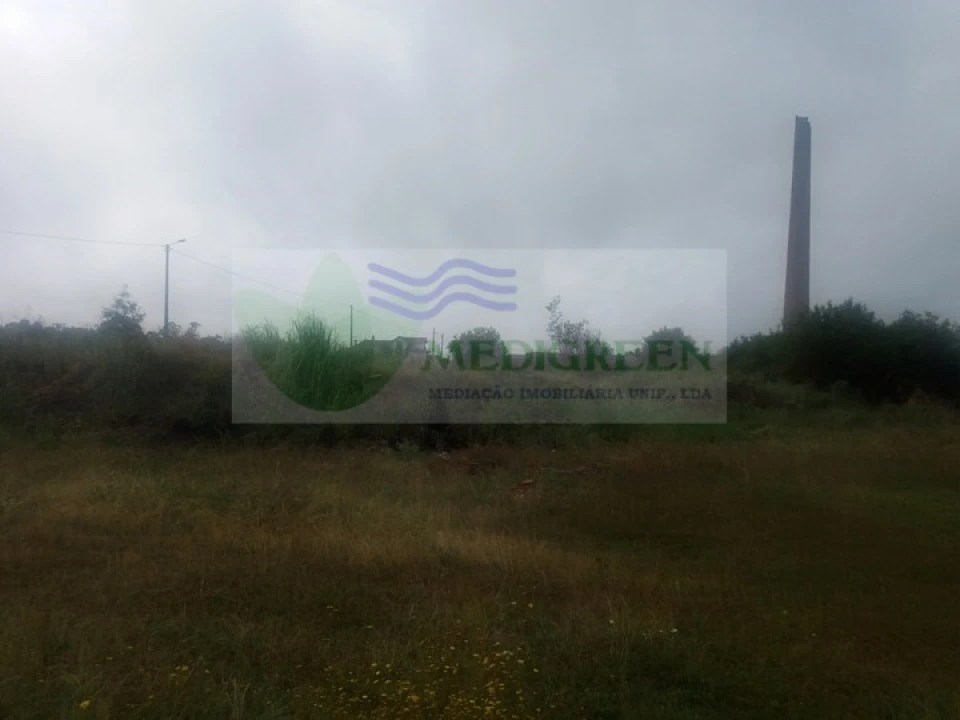 Terreno para Venda em Branca Foto 4