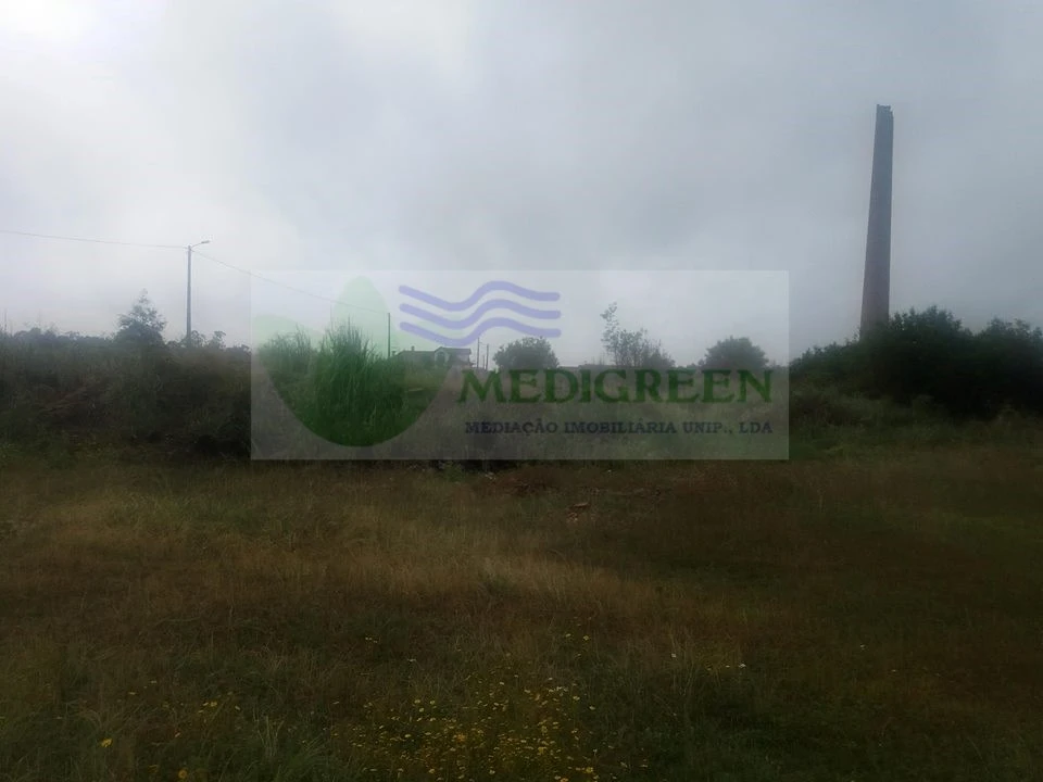 Terreno para Venda em Branca Foto 5