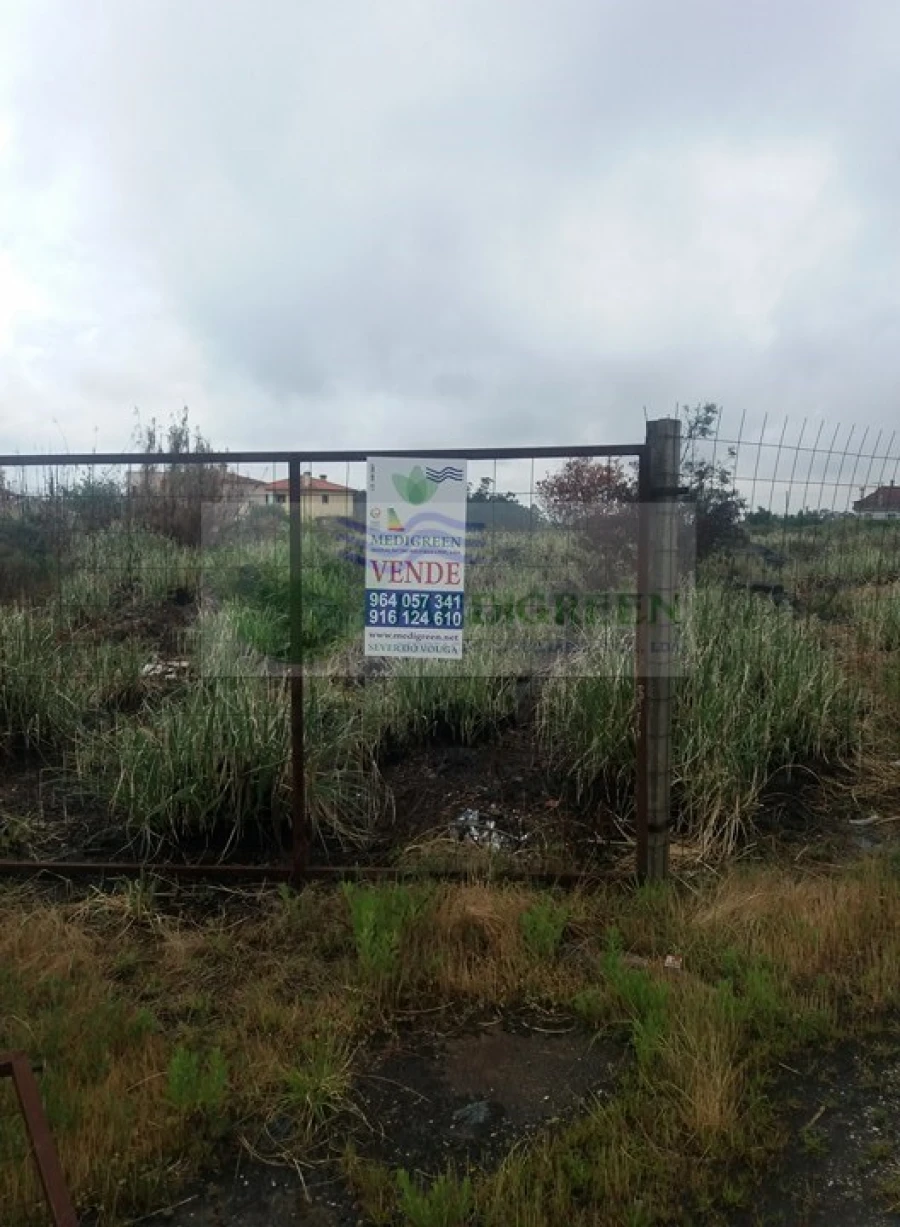 Terreno para Venda em Branca Foto 2