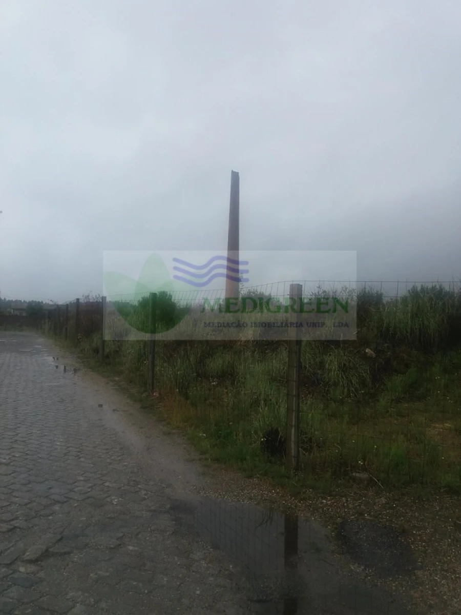 Terreno para Venda em Branca Foto 6