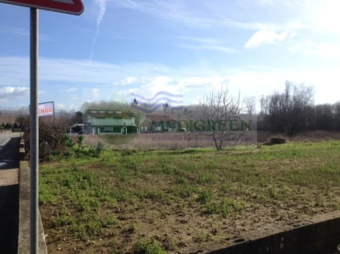 Terreno para Venda em Oliveira do Bairro Foto 3