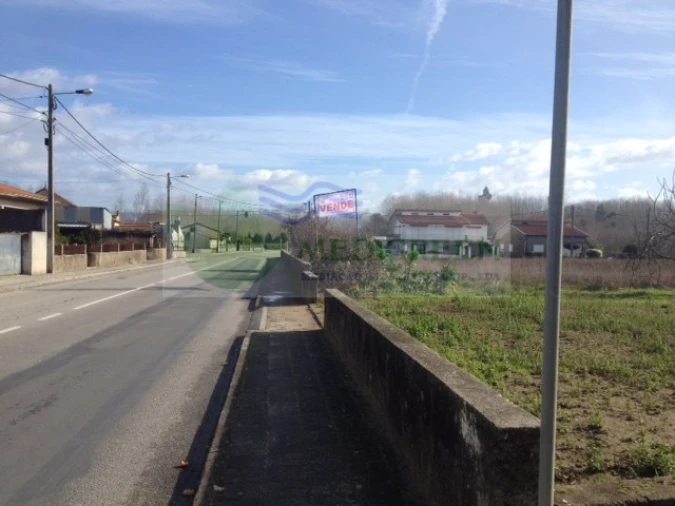 Terreno para Venda em Oliveira do Bairro Foto 4