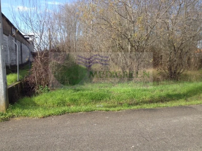 Terreno para Venda em Oliveira do Bairro Foto 8