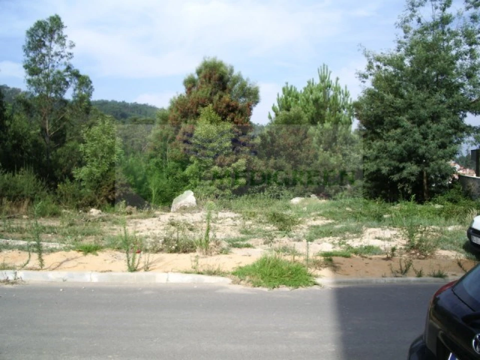 Terreno para Venda em Sever do Vouga Foto 1