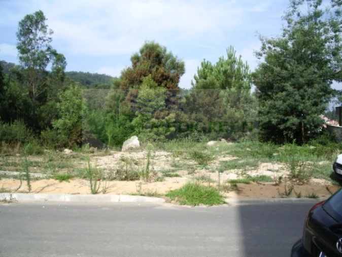 Terreno para Venda em Sever do Vouga Foto 1