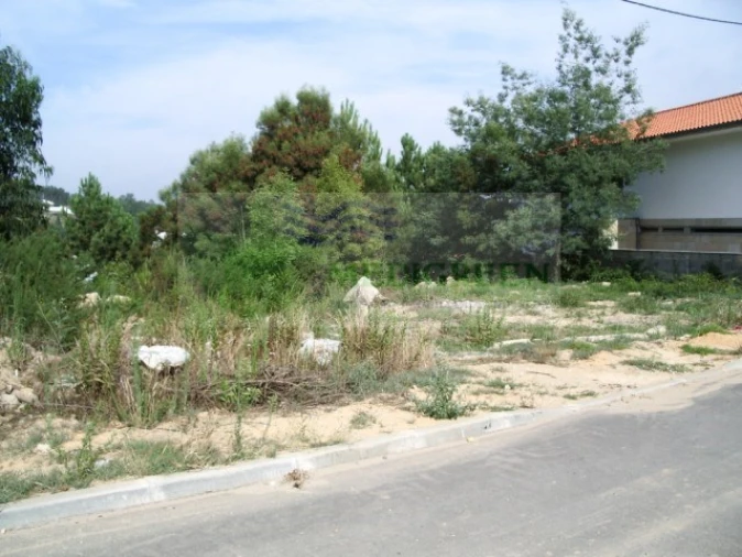 Terreno para Venda em Sever do Vouga Foto 2