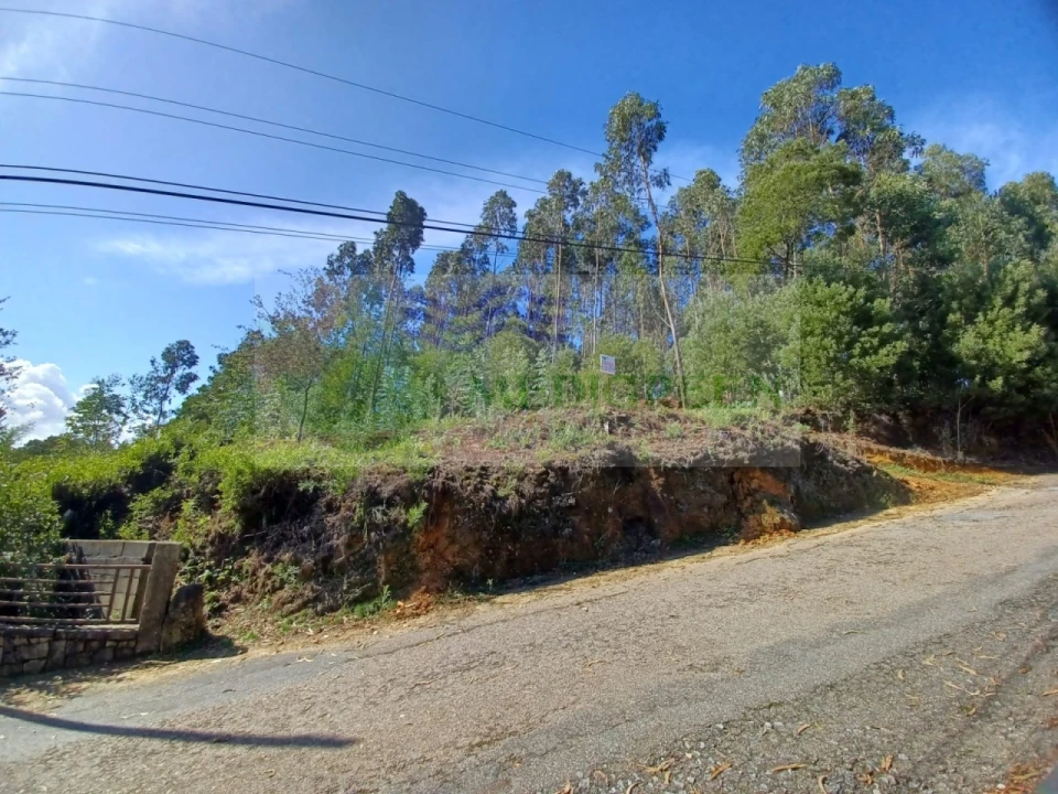 Terreno para Venda em Sever do Vouga Foto 2