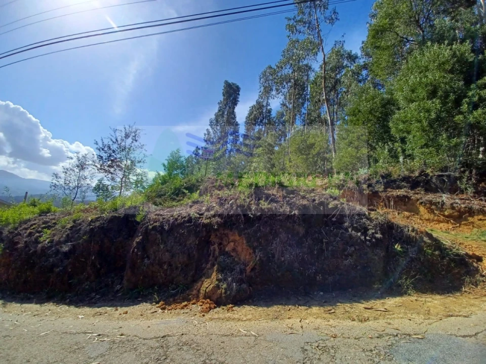 Terreno para Venda em Sever do Vouga Foto 6