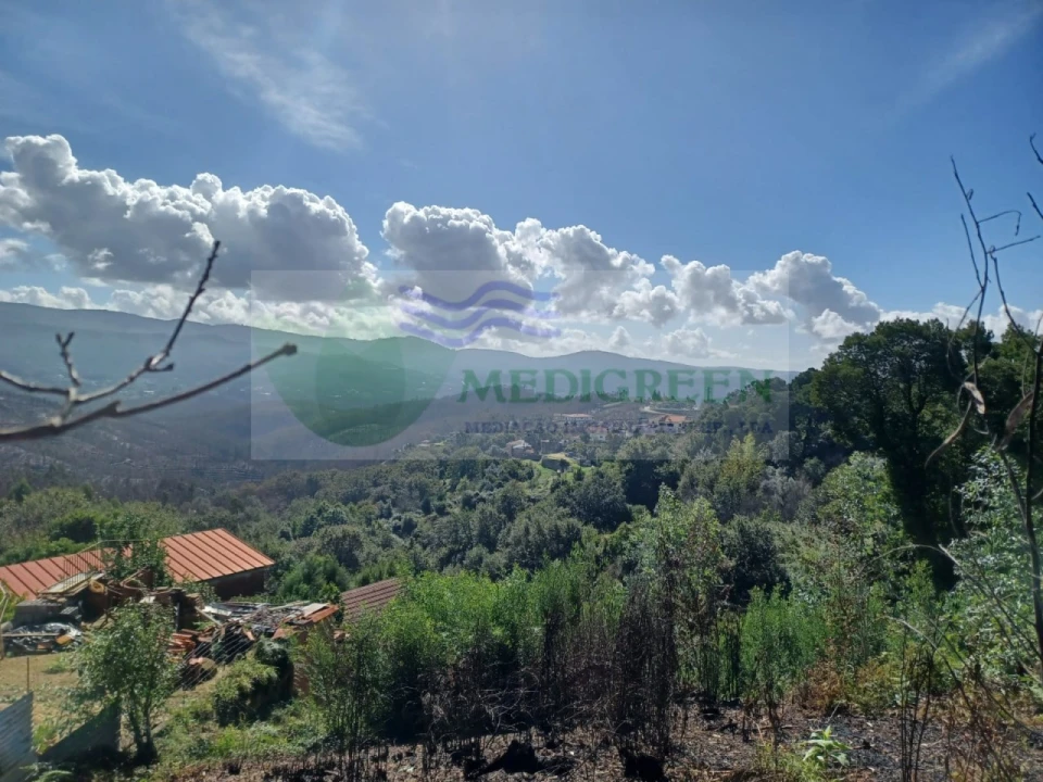 Terreno para Venda em Sever do Vouga Foto 7