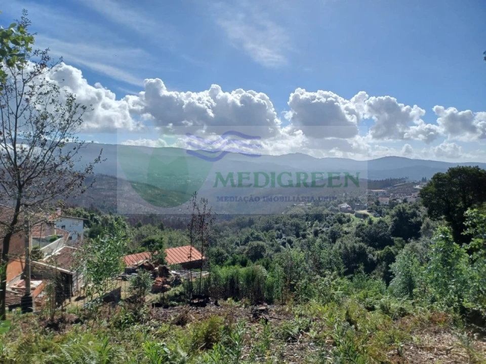 Terreno para Venda em Sever do Vouga Foto 12