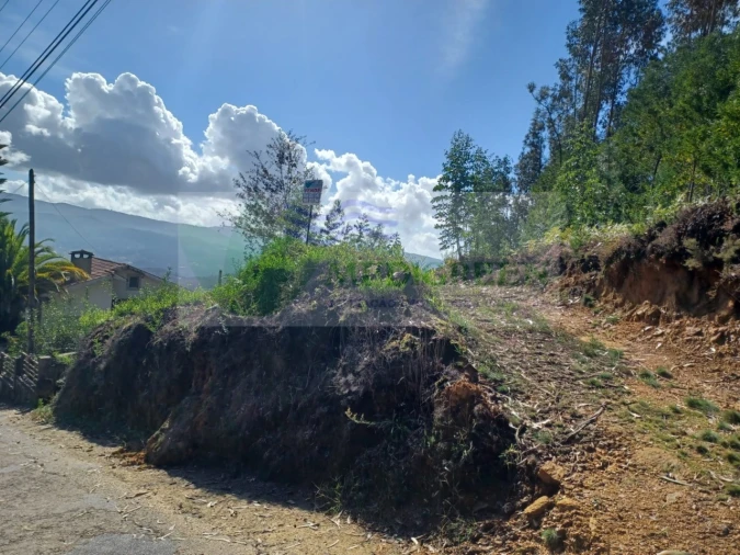 Terreno para Venda em Sever do Vouga Foto 4