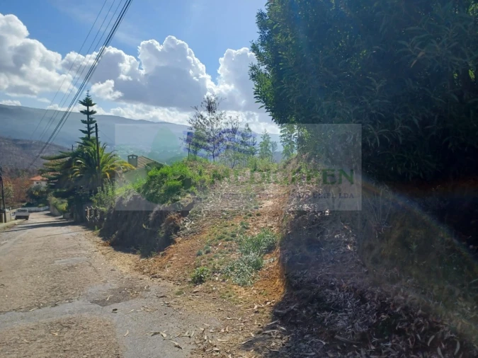 Terreno para Venda em Sever do Vouga Foto 5