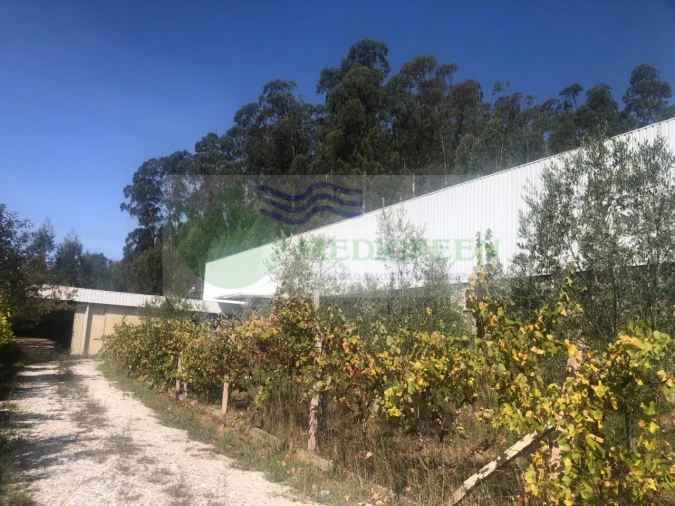 Armazém para Venda em Silva Escura e Dornelas Foto 19