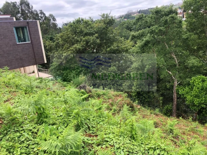 Terreno para Venda em Cedrim e Paradela Foto 4