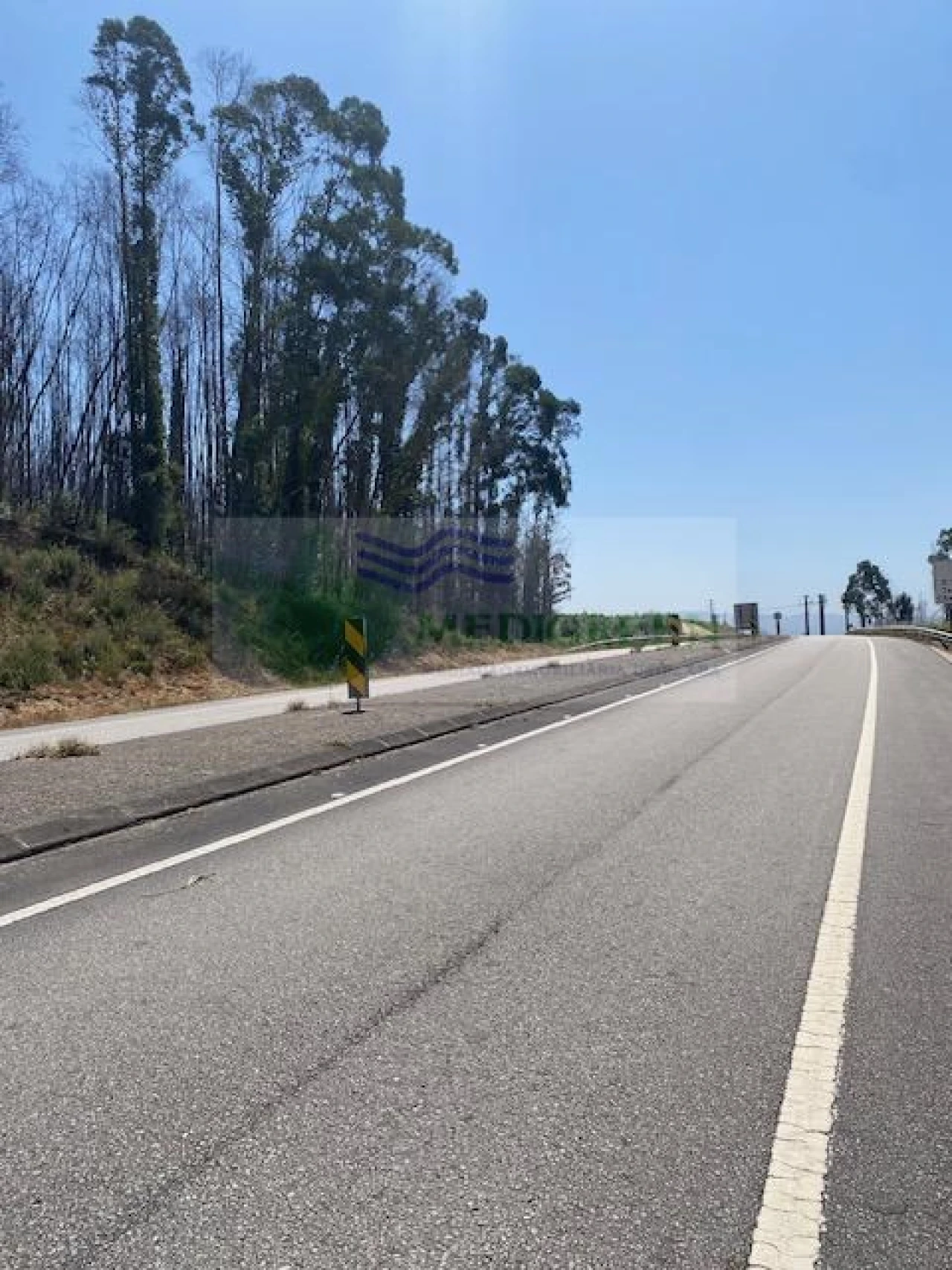Terreno para Venda em Silva Escura e Dornelas Foto 1
