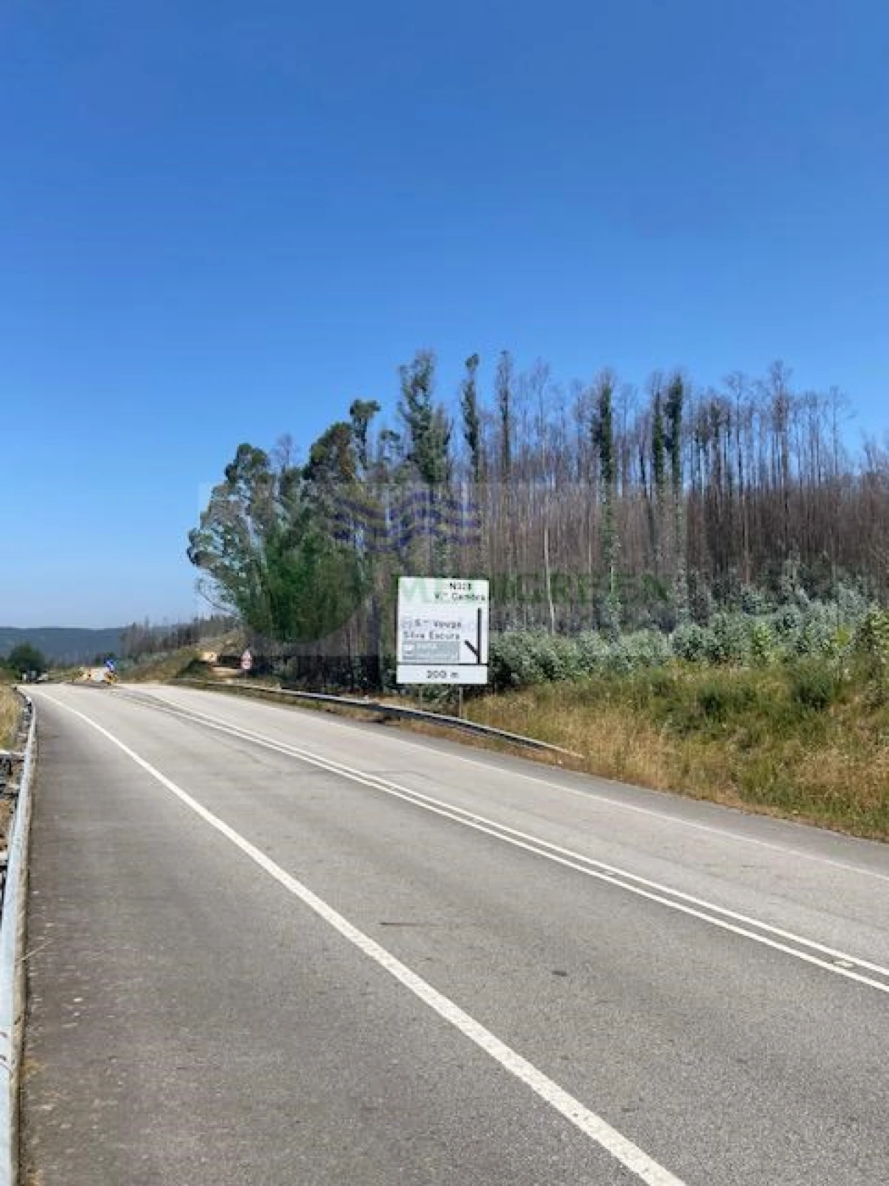 Terreno para Venda em Silva Escura e Dornelas Foto 4