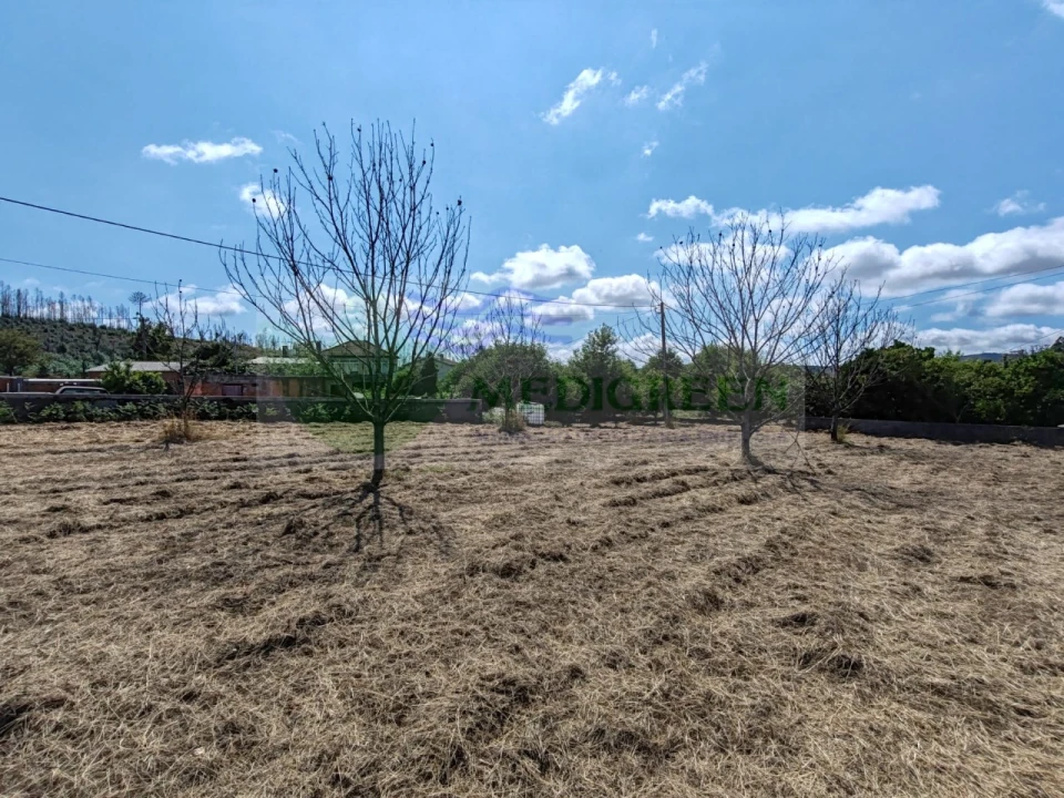 Terreno para Venda em Pessegueiro do Vouga Foto 2