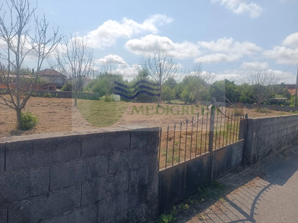 Terreno para Venda em Pessegueiro do Vouga Foto 4
