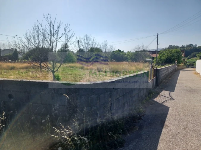 Terreno para Venda em Pessegueiro do Vouga Foto 5