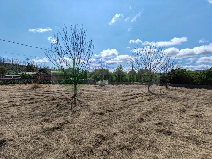 Terreno para Venda em Pessegueiro do Vouga Foto 2