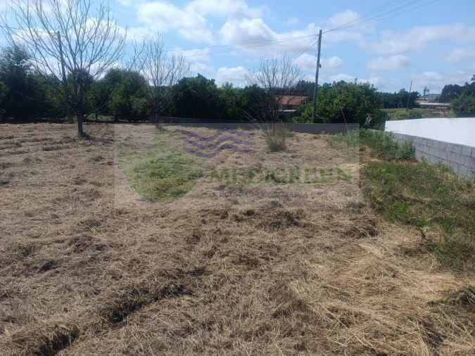 Terreno para Venda em Pessegueiro do Vouga Foto 10