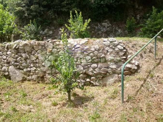 Quinta para Venda em Couto de Esteves Foto 27