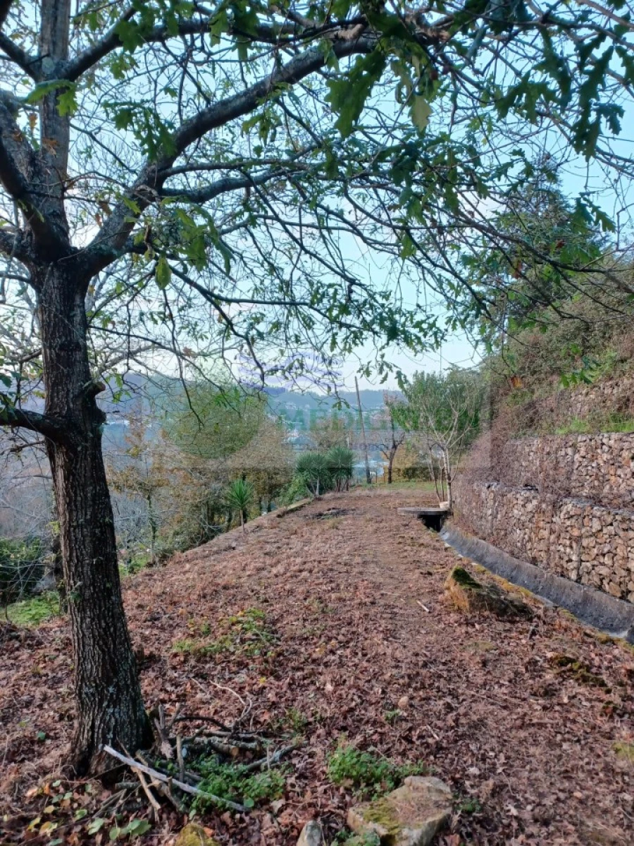 Moradia T5 para Venda em Cedrim e Paradela Foto 34