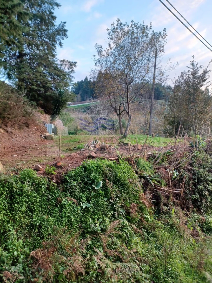 Moradia T5 para Venda em Cedrim e Paradela Foto 43