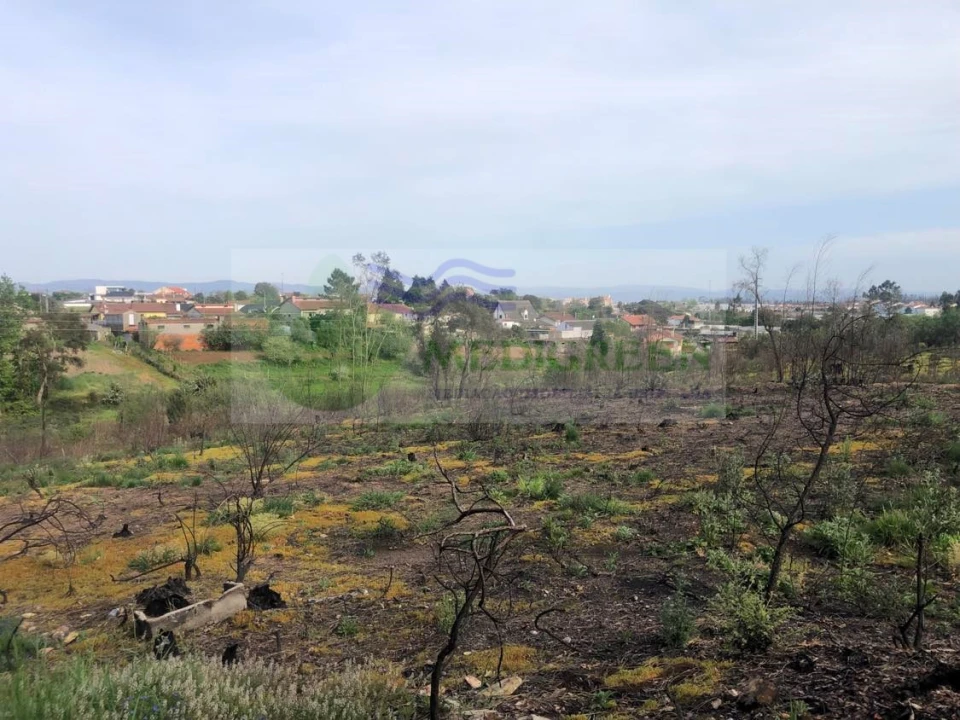 Terreno para Venda em Albergaria-A-Velha e Valmaior Foto 1
