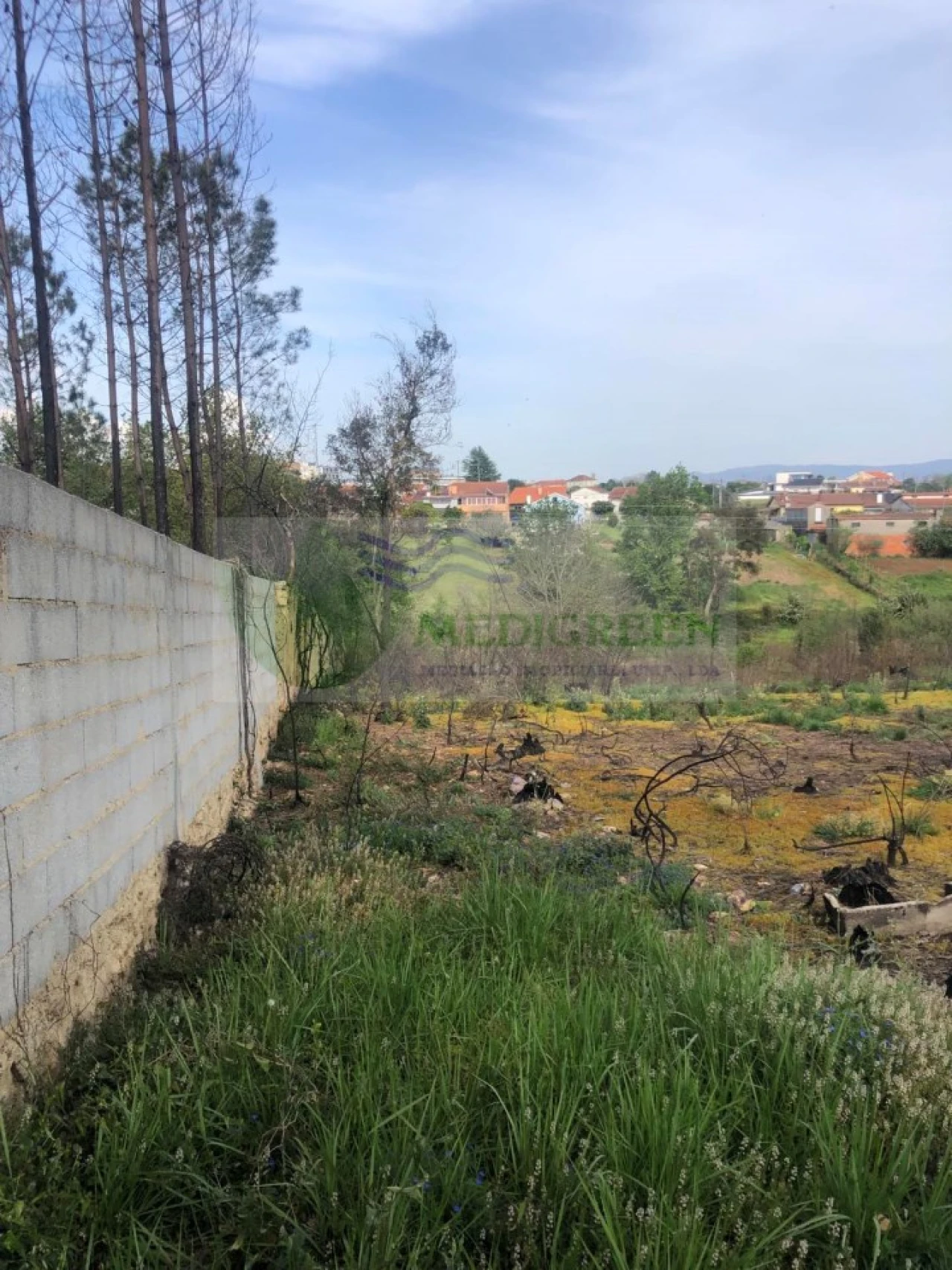 Terreno para Venda em Albergaria-A-Velha e Valmaior Foto 3